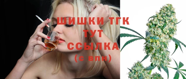 шишки Белокуриха