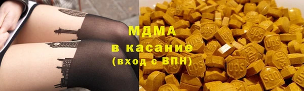 шишки Белокуриха