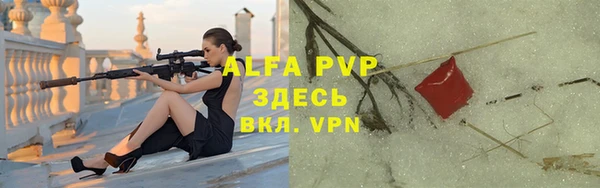 прущие грибы Беломорск