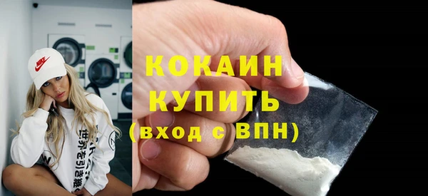 прущие грибы Беломорск