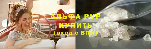 шишки Белокуриха