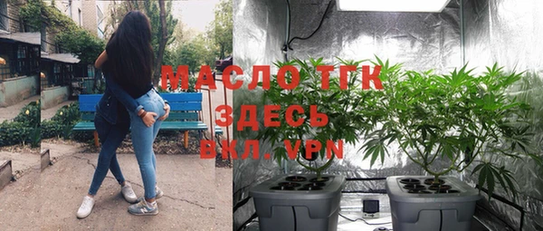 прущие грибы Беломорск