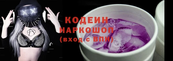 шишки Белокуриха