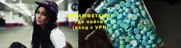 прущие грибы Беломорск