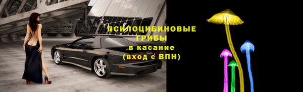 шишки Белокуриха
