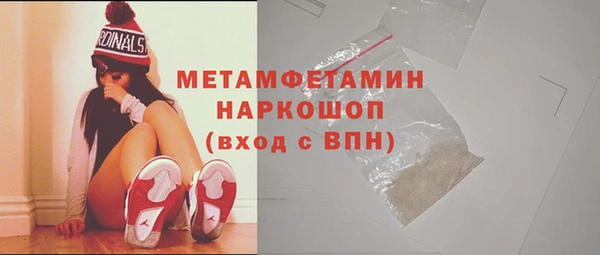 шишки Белокуриха