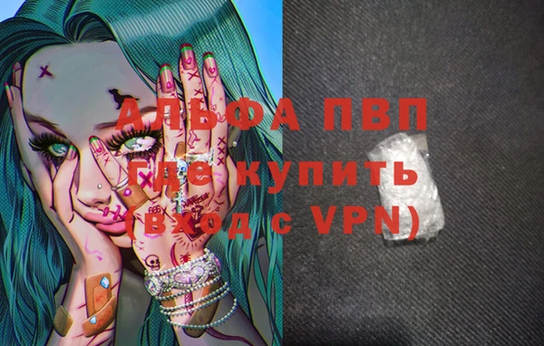 прущие грибы Беломорск