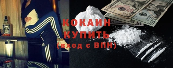 прущие грибы Беломорск