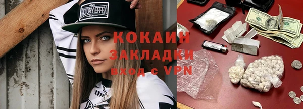прущие грибы Беломорск