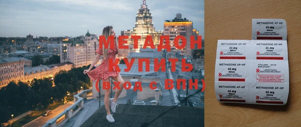 шишки Белокуриха