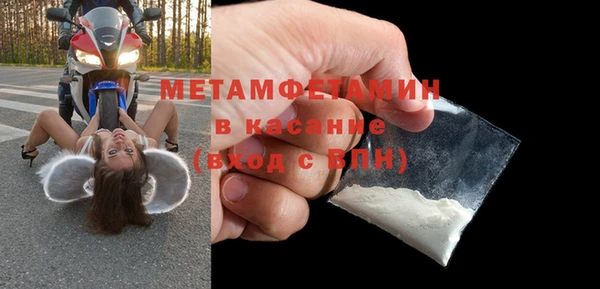 шишки Белокуриха
