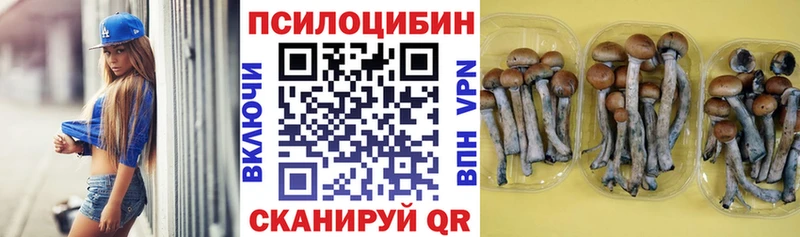 Псилоцибиновые грибы GOLDEN TEACHER  Купить  Усть-Илимск 
